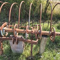 Raccogli Sarmenti per vigna