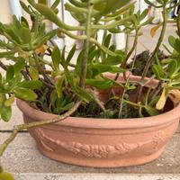 Vasi in resina da giardino