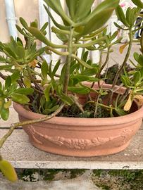 Vasi in resina da giardino