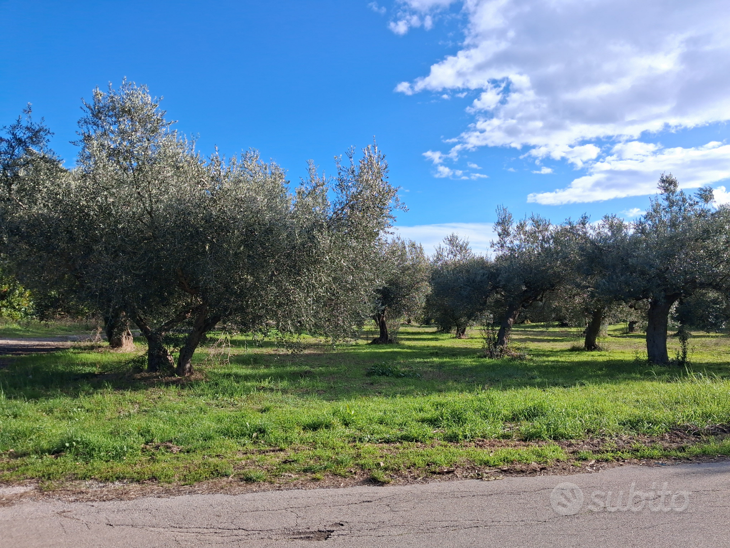 Terreno per attrezzature sportive - Vista 2