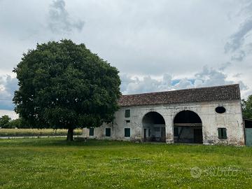 Rustico  con 3100 metri dibterreno edificabili 1a1