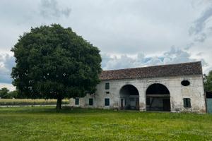 Rustico  con 3100 metri dibterreno edificabili 1a1