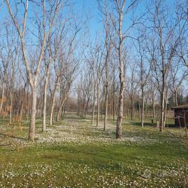 La terra.metafora della vita