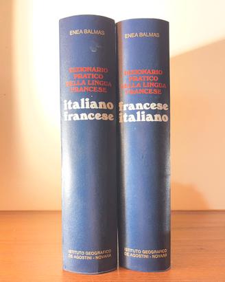 Dizionario della lingua francese