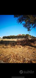 Terreno edificabile - Building Land