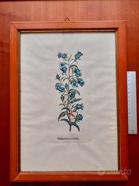 Quadri di vario genere (d)