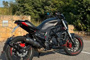 Cruiser 502C “Limited Edition” – 2020 Benelli