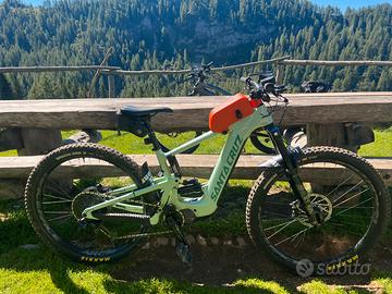 Santa Cruz Heckler