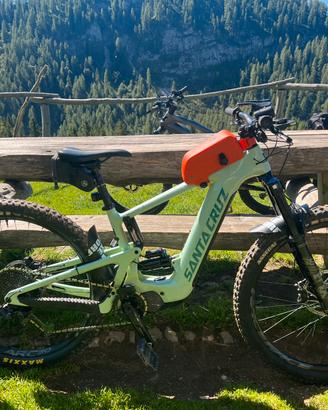 Santa Cruz Heckler