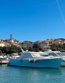 Mochi Dolphin 44 del 2008