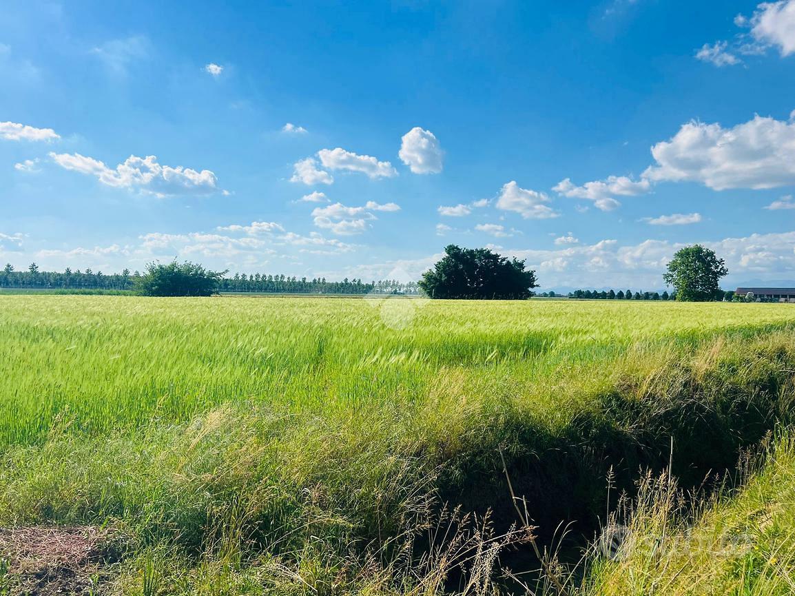 TER. AGRICOLO A CARAVAGGIO - Altro