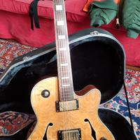 Chitarra elettrica semi acustica Stellar