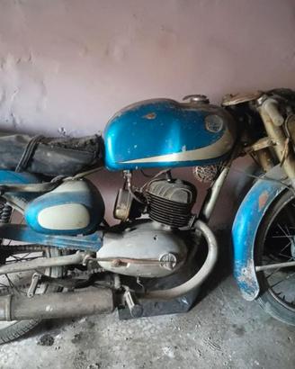 Beta sporting 125