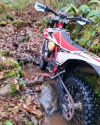 Beta RR Enduro 300 2t modello 2019