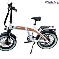 Fat Bike BMX Racing Limted Edition 1000W