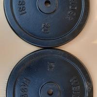 Coppia Dischi da 20kg