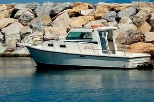Barca mod Javazzo 24 con due mercruiser 3.0l