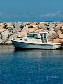 Barca mod Javazzo 24 con due mercruiser 3.0l