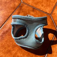 Pettorina azzurra traspirante per cani taglia XS