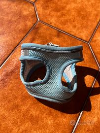 Pettorina azzurra traspirante per cani taglia XS