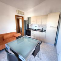 Bilocale arredato con p. auto Rif. S550