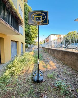 Canestro da basket