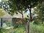 Immagine 26