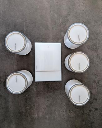 Bticino Smarther2 + 5 Valvole Netatmo