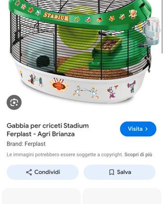 Gabbie criceti circo o stadio