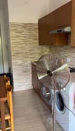 2 ventilatori 