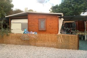 Roulotte camperizzata con casetta in legno