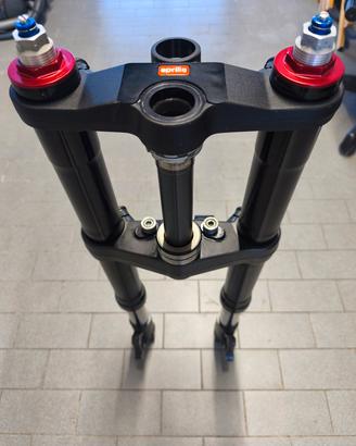 Forcelle SHOWA per Aprilia RSV 1000 / Tuono 