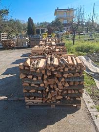 legna da ardere in genere disponibile a Benevento 