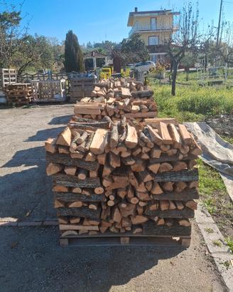 legna da ardere in genere disponibile a Benevento 