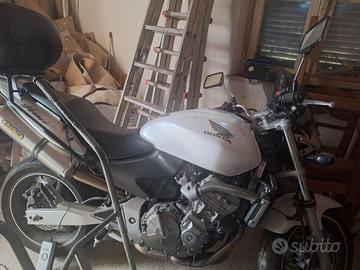 honda hornet
