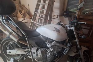 honda hornet