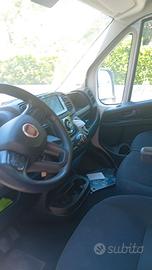 Ducato