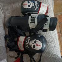 guantoni  sphinkx e paracolpi leone