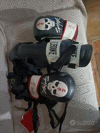 guantoni  sphinkx e paracolpi leone