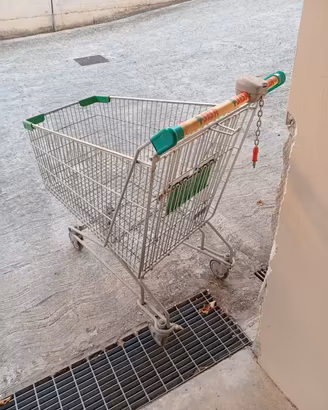 carrelli spesa 