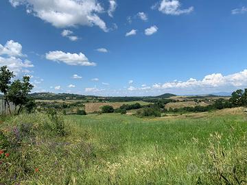 Terreno agricolo Trevignano Romano