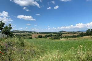 Terreno agricolo Trevignano Romano