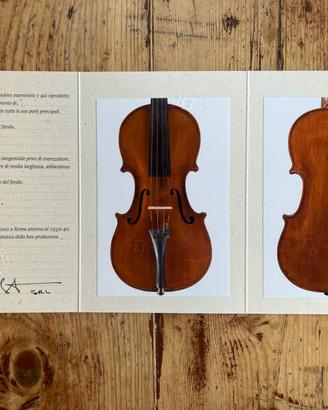 Violino antico Bertucci Roma 1930 certificato BLOT