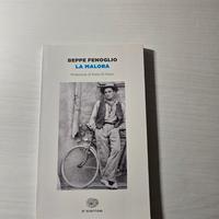 "La malora" di Beppe Fenoglio