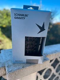 SCHWALBE ALBERT GRAVITY PRO RADIALE