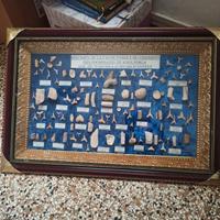 Quadro con fossili