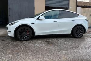 Tesla model Y performance