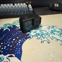 Go pro