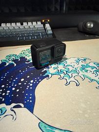 Go pro
