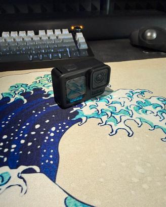 Go pro